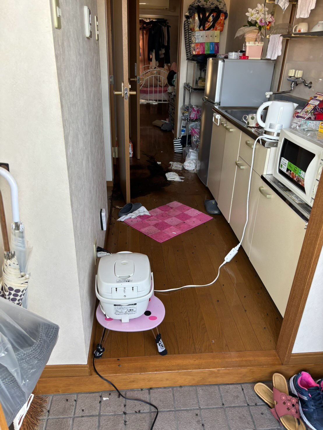 松山市W様特殊清掃、遺品整理 