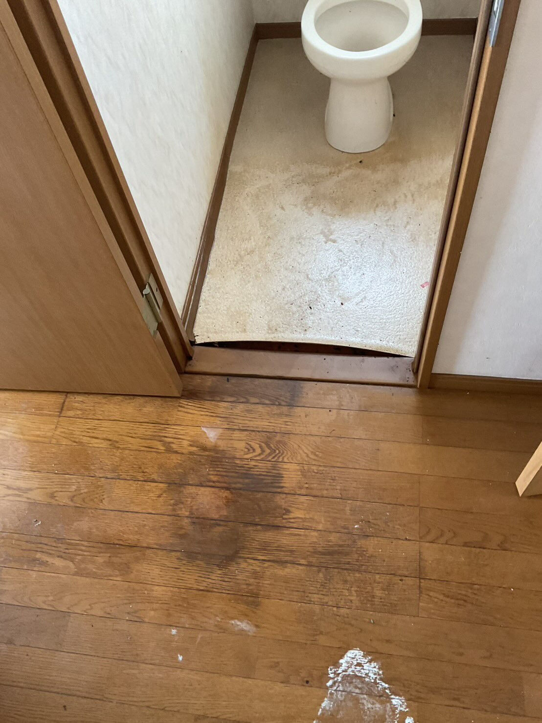 松山市W様特殊清掃、遺品整理 