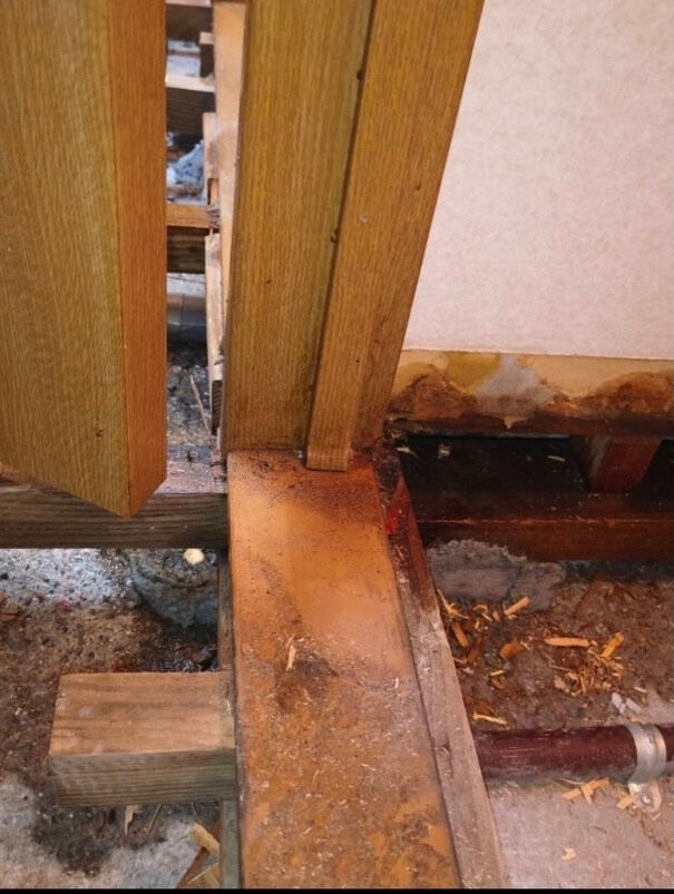 松山市W様特殊清掃、遺品整理 