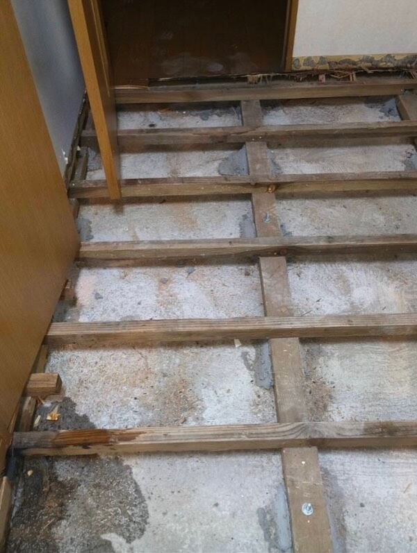 松山市W様特殊清掃、遺品整理 