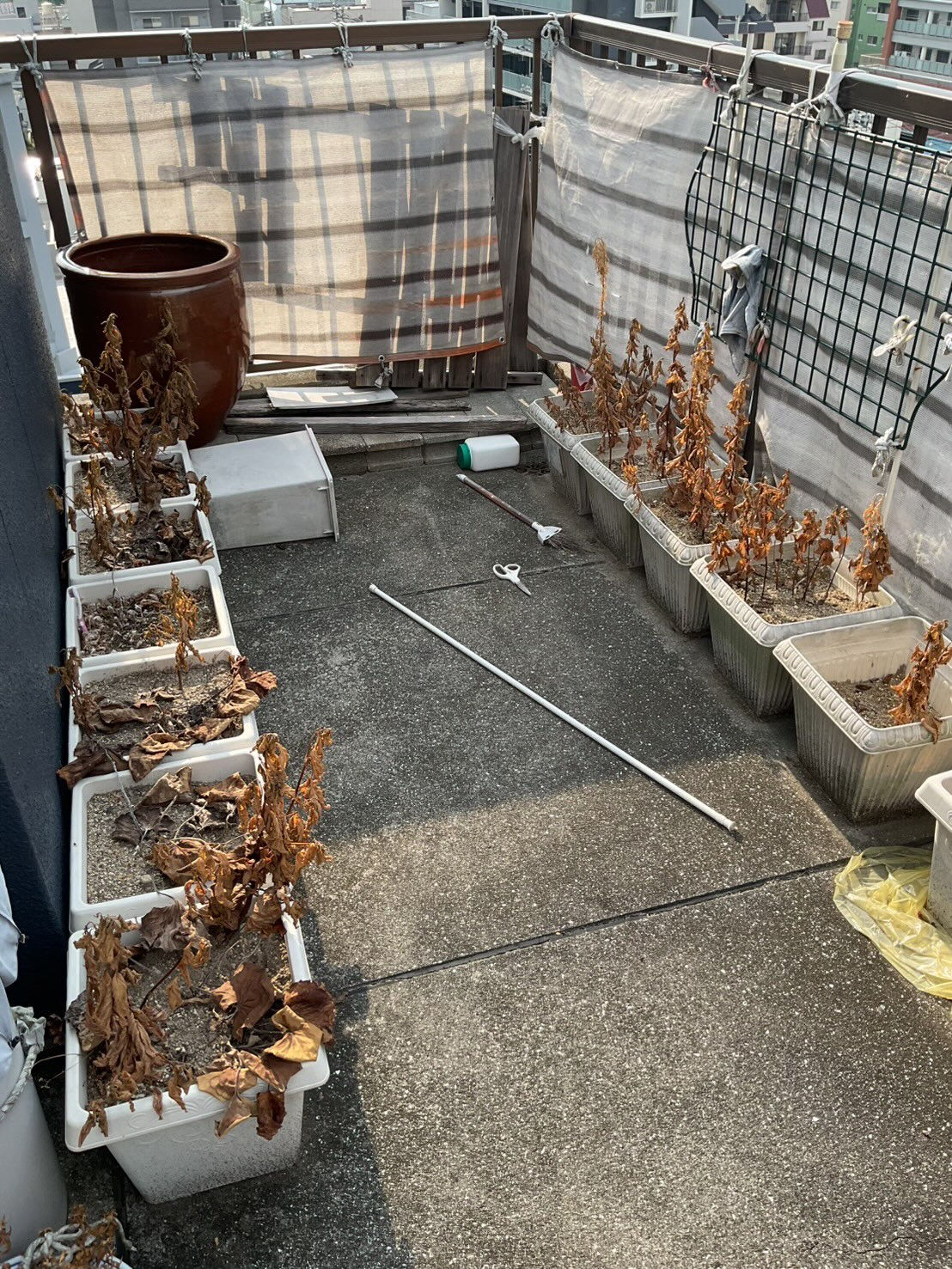 松山市T様特殊清掃、遺品整理 